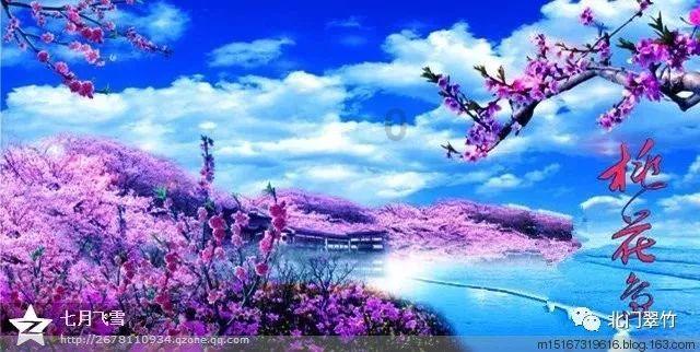 春雨直播app